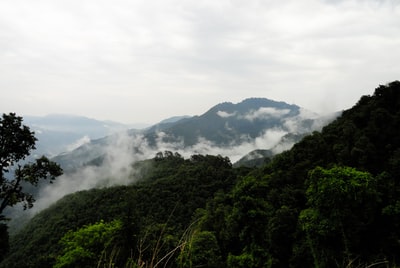 白天白云下山上绿树成荫